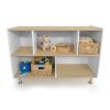 WB1963 elevatED™ Storage Cabinet 33H_silo with props